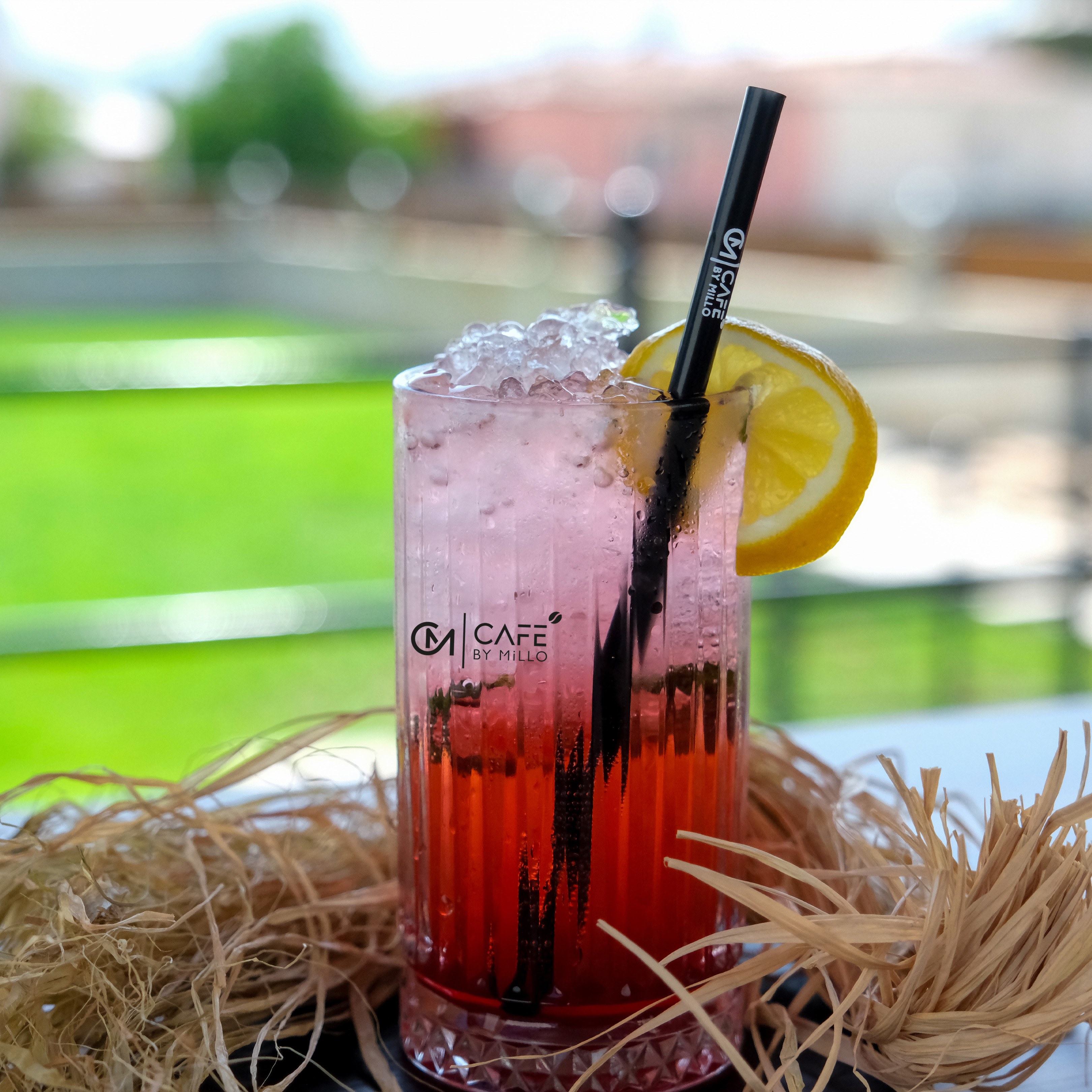 Meyveli Mojito